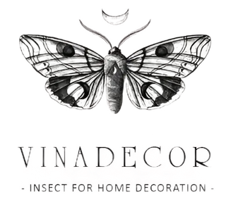 vninsects.com