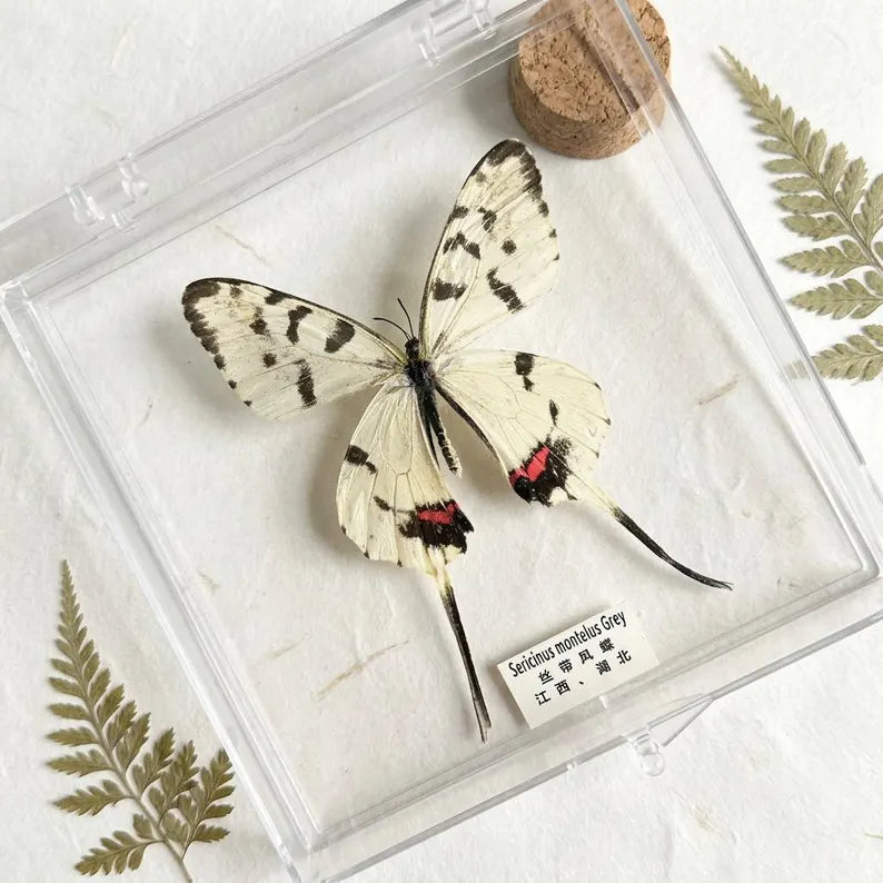NATURAL VARIATIONS