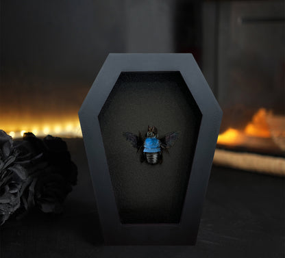 Real Blue Carpenter Bee in Coffin Framed, Gothic Home Decor, Dried Insect Bug Taxidermy Display