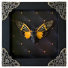 Real Framed Yellow Wings Butterfly Cicada Black Frame Gothic Home Decor K12-80-DE