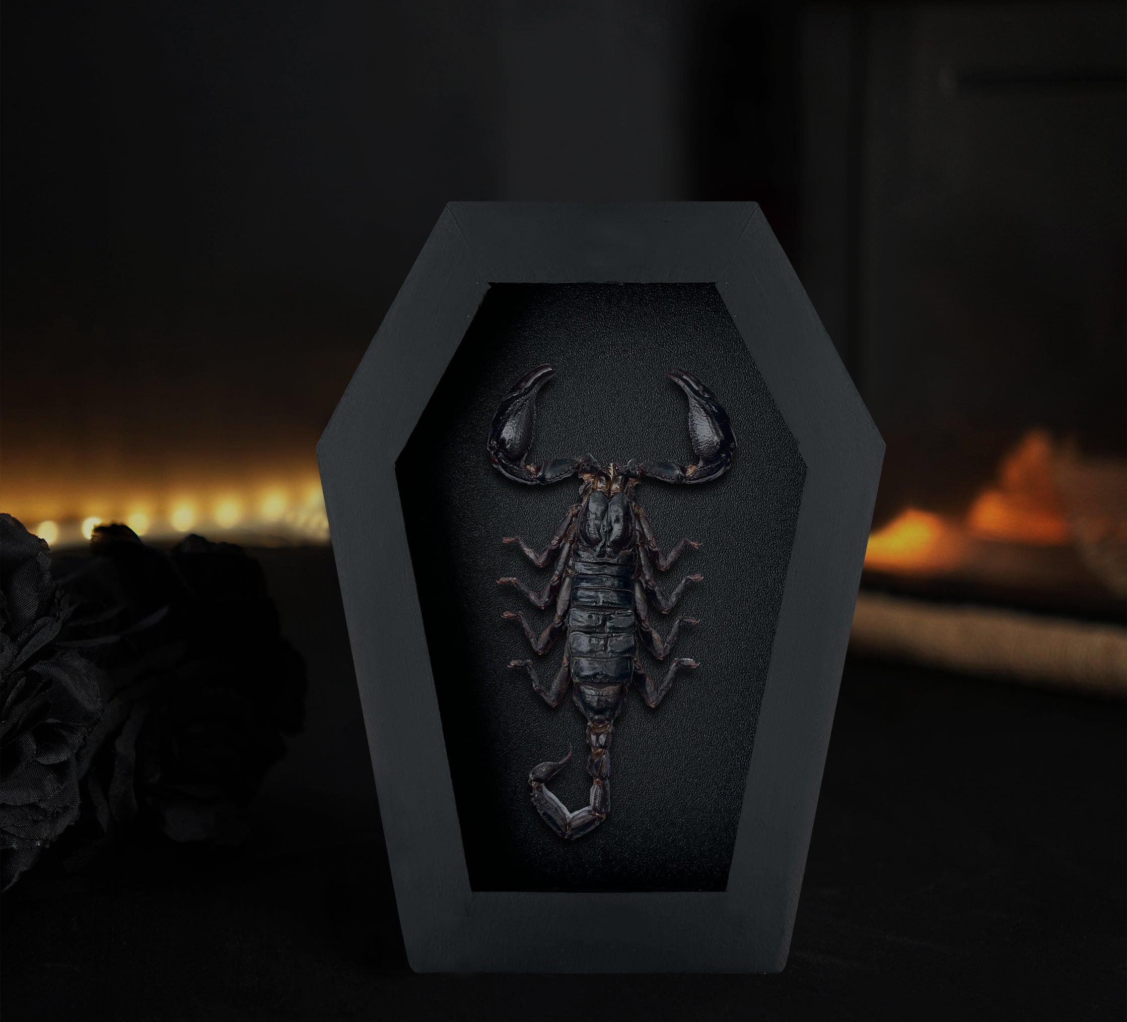 Gothic Art Real Scorpion in Coffin Framed Home Decor