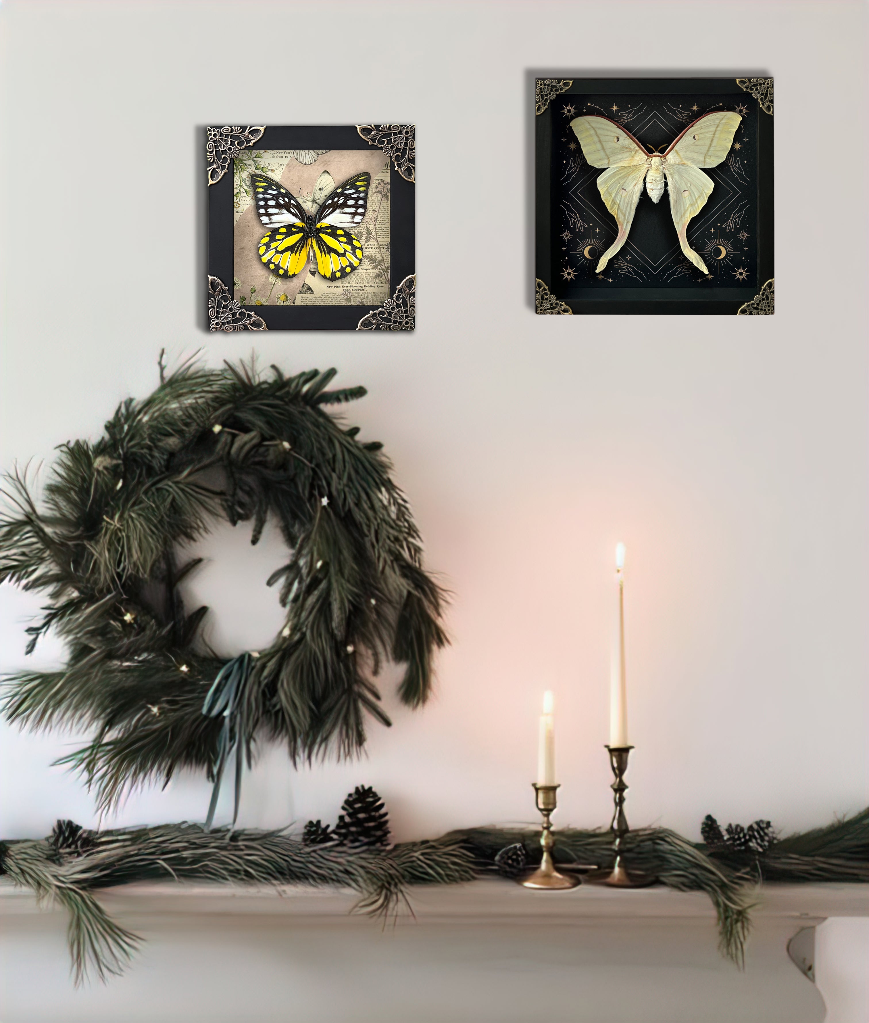 Spotted Sawtooth Butterfly Taxidermy Special Floral Boho Framed Customized K12-10-FL1