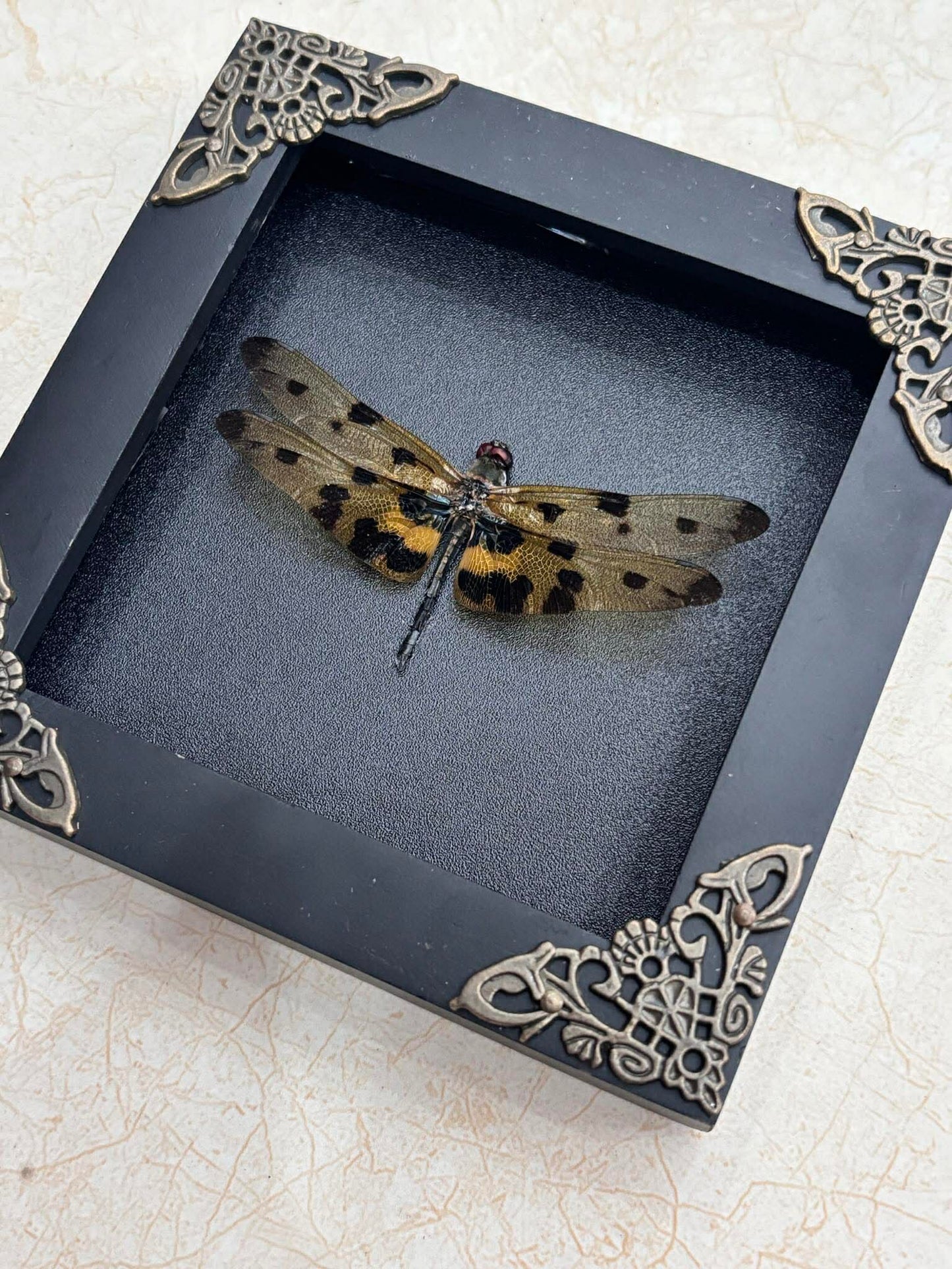 Real Yellow Dragonfly Shadow Box Insect Bug Frame Wall Art Decoration Oddity Home Bookshelf Decor K12-100-DE