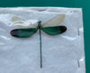 Real Dragonfly Bugs Beetle Taxadermy Pinned Dried Insect Specimens Taxidermy Collection