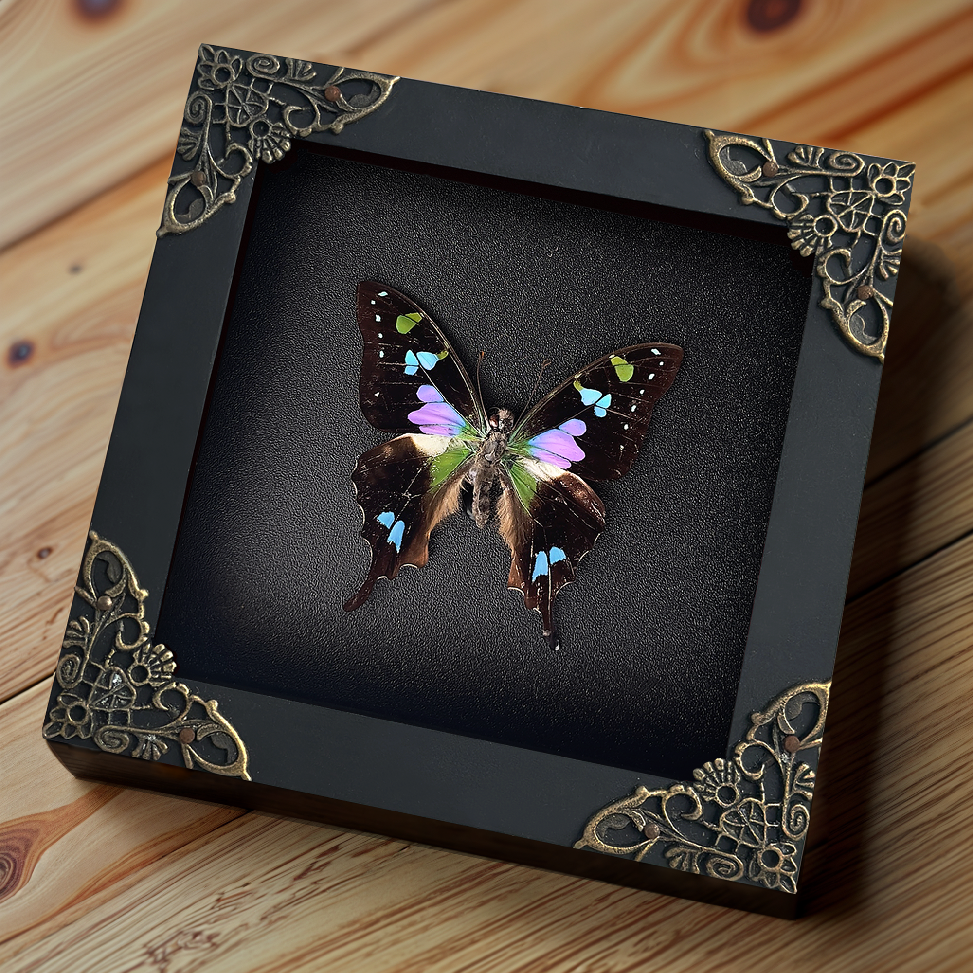 Entomology Lover Art Gallery Collection Real Butterfly Framed Wall Hanging Decor Mom Gift
