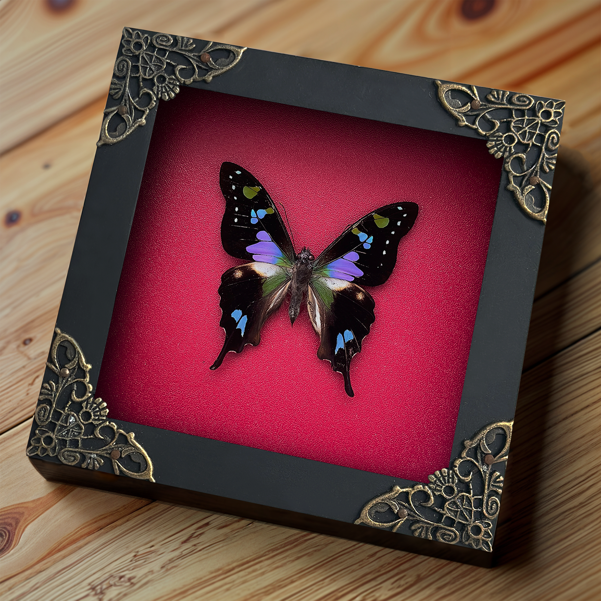 Mother's Day Gift Real Butterfly Framed Gothic Wall Hanging Home Decor Pinned Butterflies Insect Collections