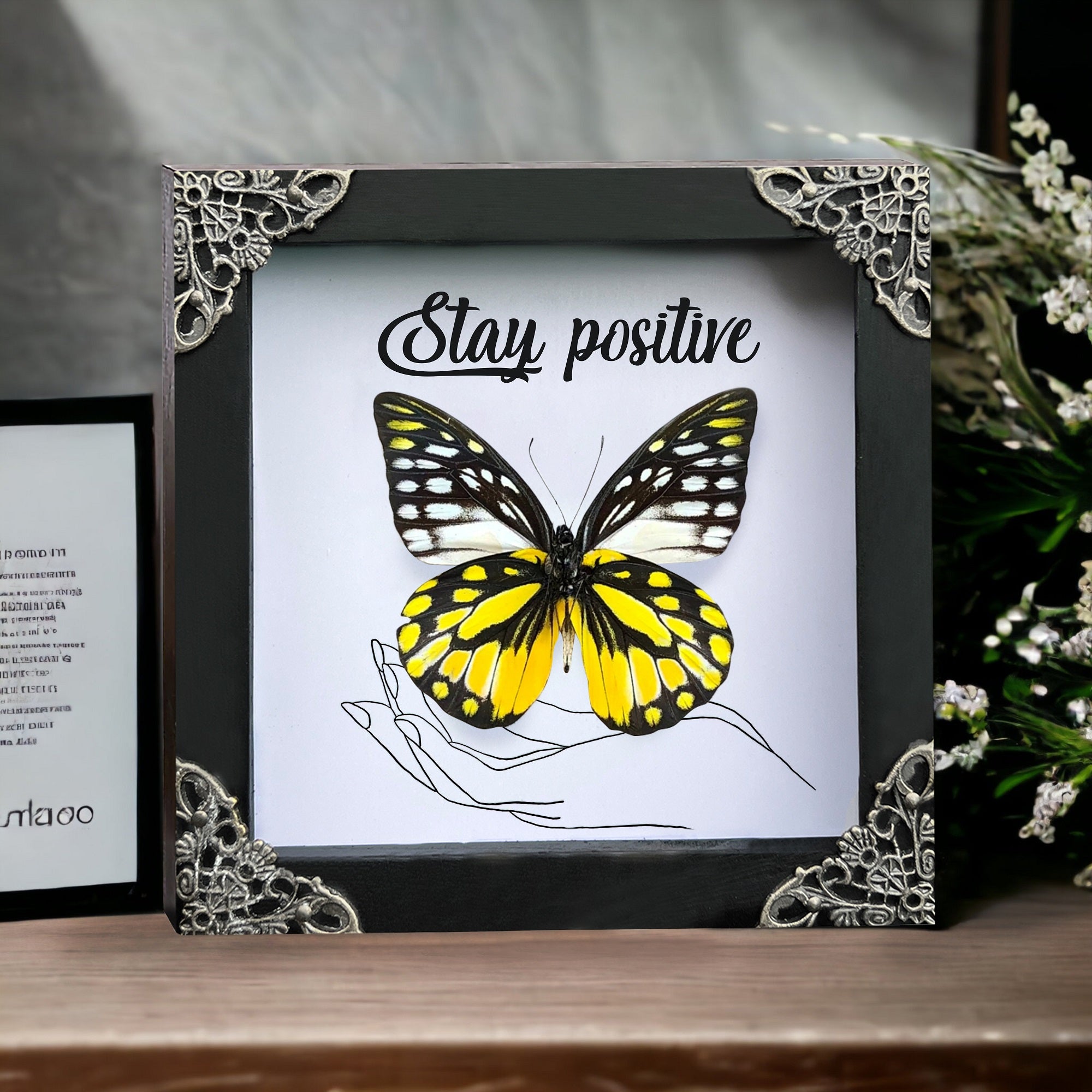 Butterfly Taxidermy Special Floral Vintage Framed Customized K12-10-QS1