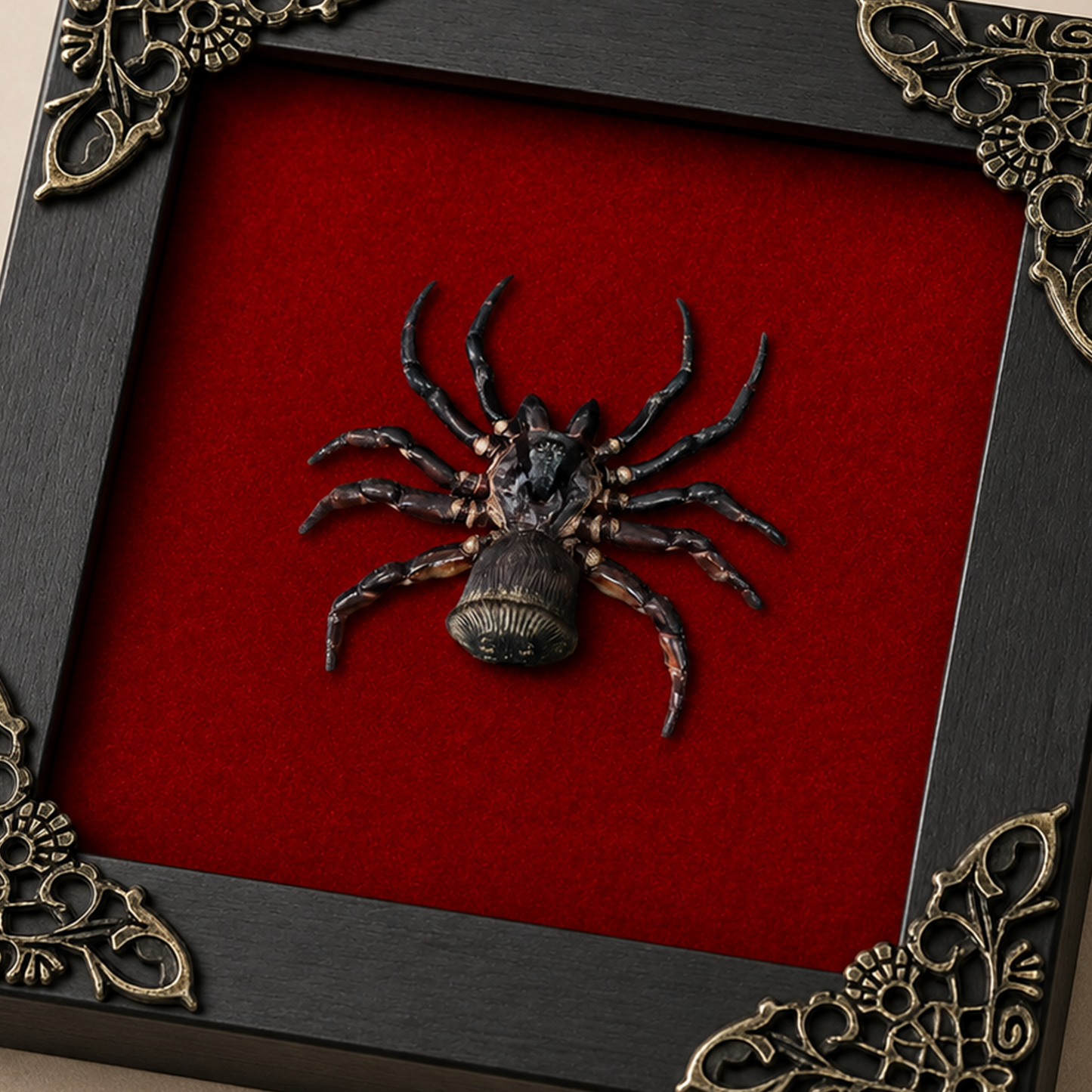 Frame Spider Tarantula Cyclocosmia Ricketti Taxidermy Artwork Oddities Curiosities Home Gothic Decor K12-106-DE
