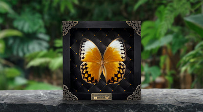 Real Yellow Butterfly Astronomy Moon Phase Star Astrology Special Floral Framed Customized K16-02-DE