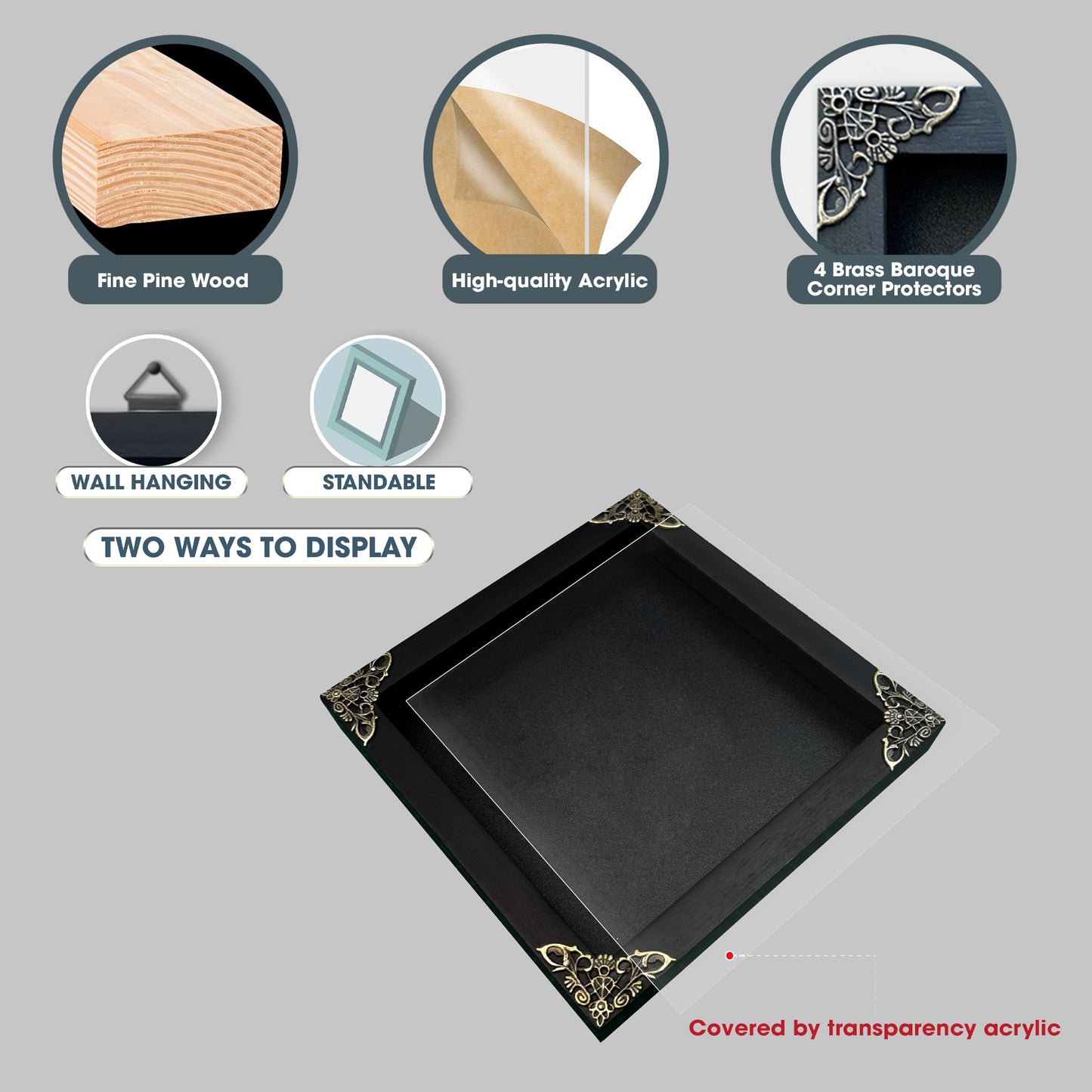 Real Framed Cicada Tailanga Glass Wooden Specimen Oddities K12-63-KINH