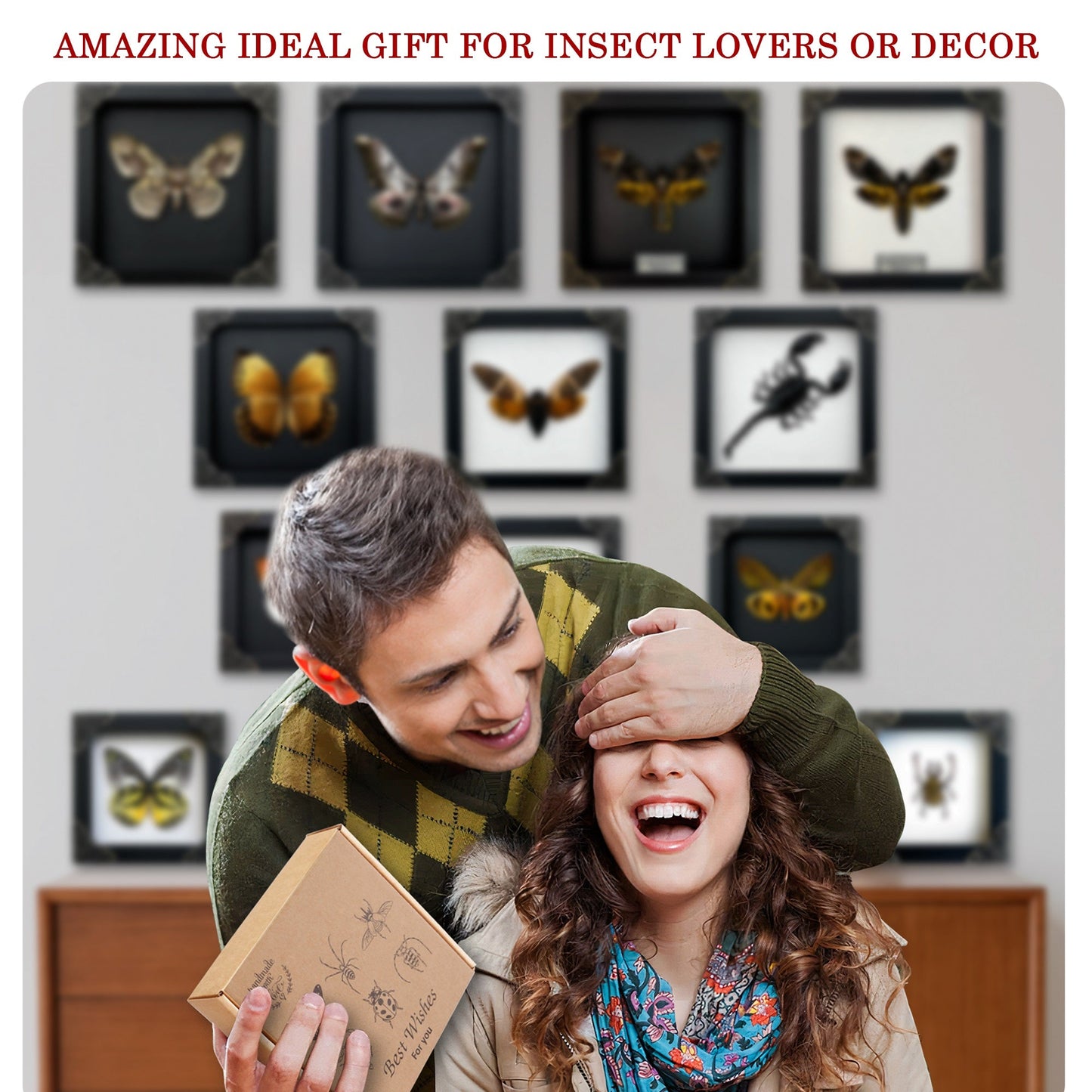 Real Green Damselfly Taxidermy Framed, Insect Bug Taxidermy, Curiosities Oddities Gothic Decor