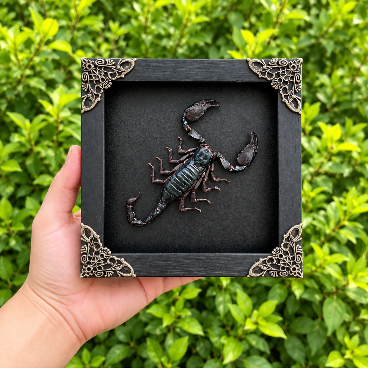Giant Scorpion