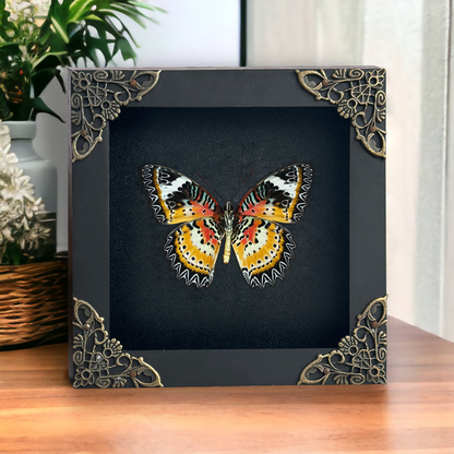 Leopard Lacewing Butterfly Shadow Box, Real Insect Framed, Wall Hanging Decor, Gallery Collection