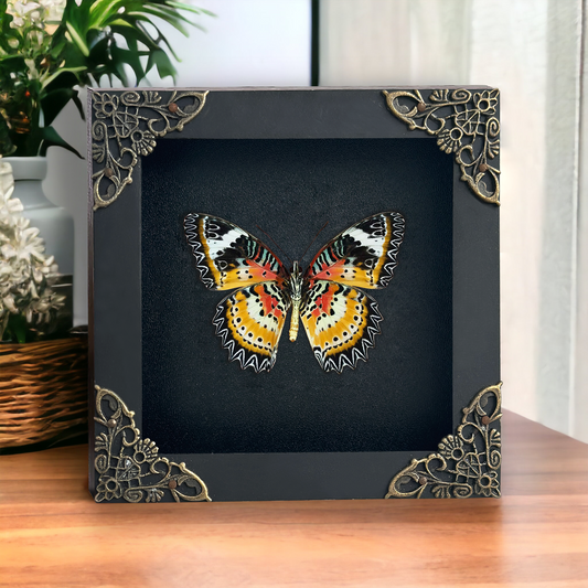Leopard Lacewing Butterfly Framed, Real Insect Framed, Wall Hanging Decor, Gallery Collection