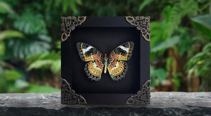Leopard Lacewing Butterfly Framed, Real Insect Framed, Wall Hanging Decor, Gallery Collection