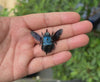 Load and play video in Gallery viewer, Real Blue Carpenter Bee Bug Taxadermy Pinned Dried Insect Beetle Specimens Taxidermy