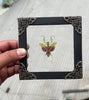 Load and play video in Gallery viewer, Real Framed Mantis Creobroter Glass Wooden Specimen Oddities Taxidermy K12-62-KINH