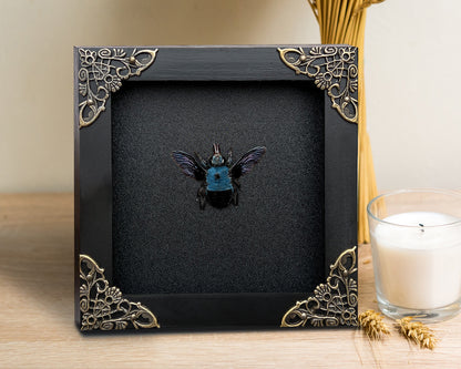 Real Framed Blue Carpenter Bee Black Wooden Specimen Oddities K12-61-DE