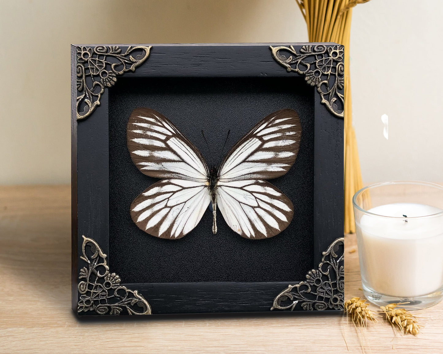 Real Butterfly Wooden Frame Dried Insect Specimens K12-09-DE