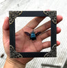 Real Framed Blue Carpenter Bee Glass Wooden Specimen Oddities Taxidermy K12-61-KINH